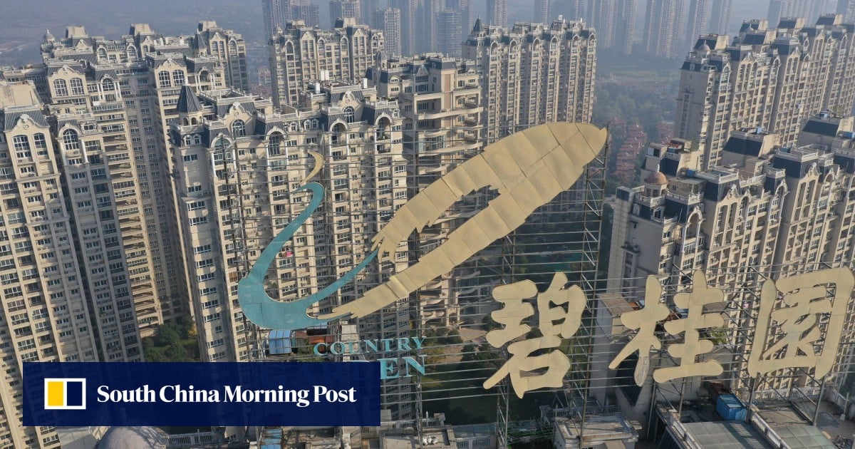 Chinese developer Country Garden receives winding-up petition in Hong Kong over US$204 million loan