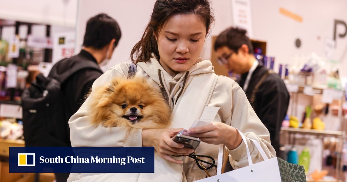 Hongkongers among top spenders on pet care in Asia-Pacific at US$90,000, insurer OneDegree says